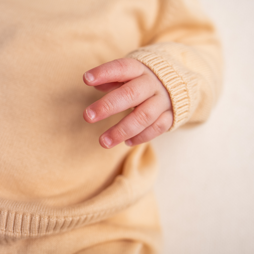 Organic Cotton Crew Neck Sweater - Hazelnut - Bambino Azizo