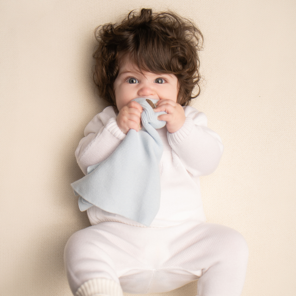 Snuggle Cub - Lullaby Blue - Bambino Azizo